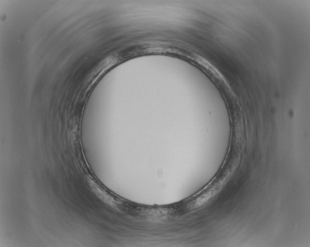 X0000060780801200512082057