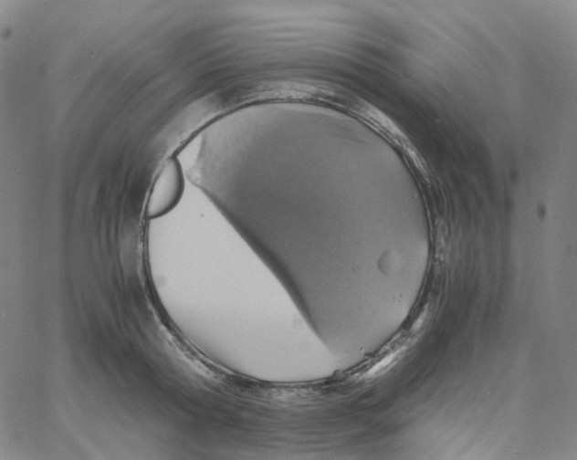 X0000060780802200512082057