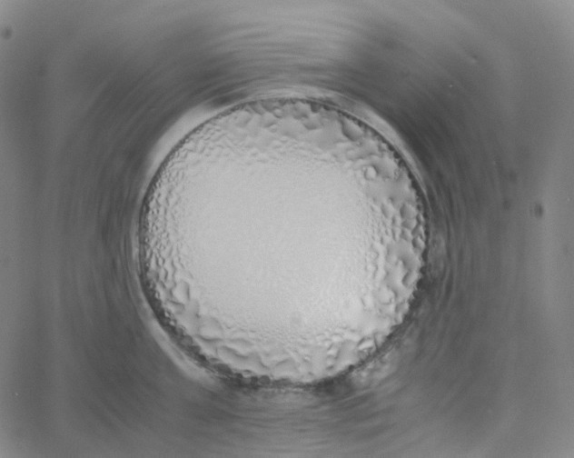 X0000060780811200512082057