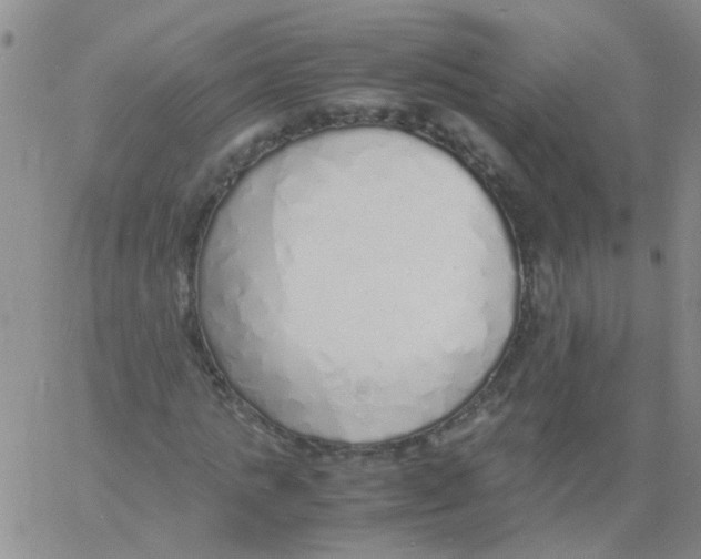 X0000060780821200512082056