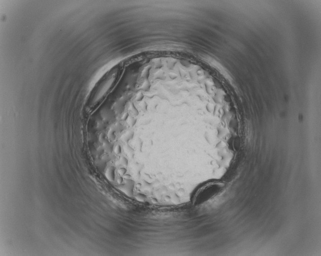 X0000060780829200512082056
