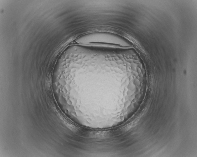 X0000060780841200512082057