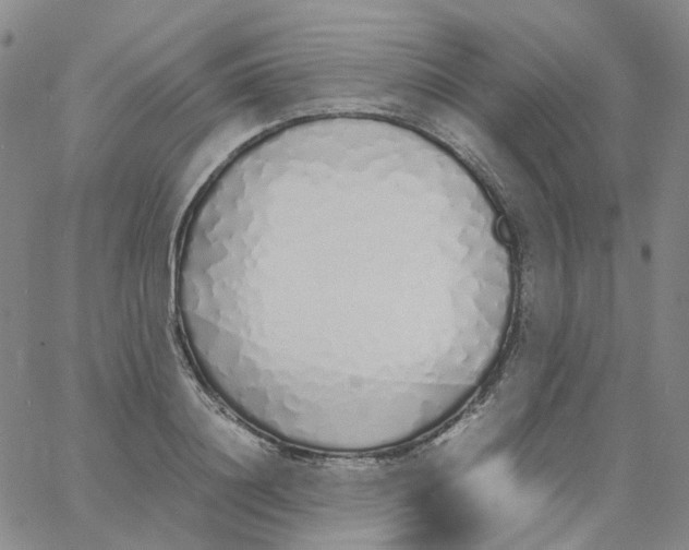 X0000060780844200512082057