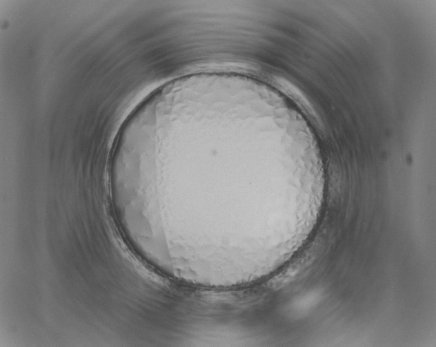 X0000060780852200512082057