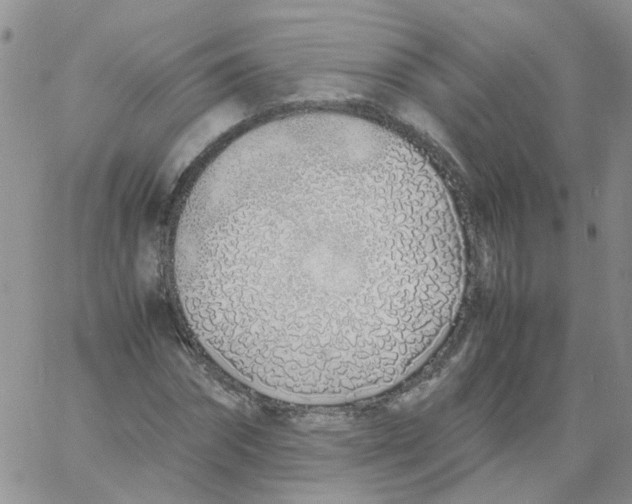 X0000060780874200512082056