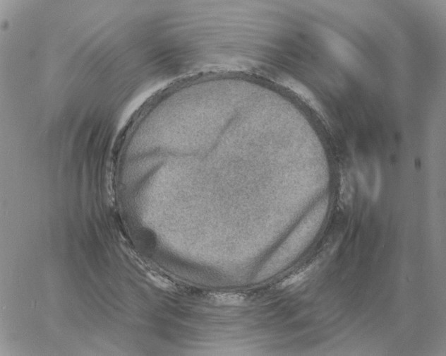X0000060780878200512082056