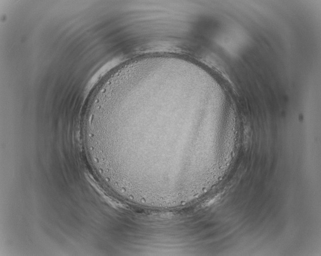 X0000060780882200512082056