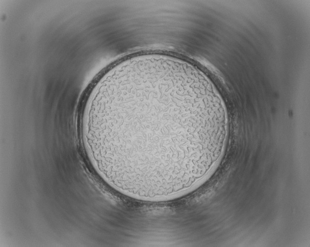 X0000060780886200512082056