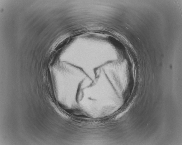 X0000060780889200512082056