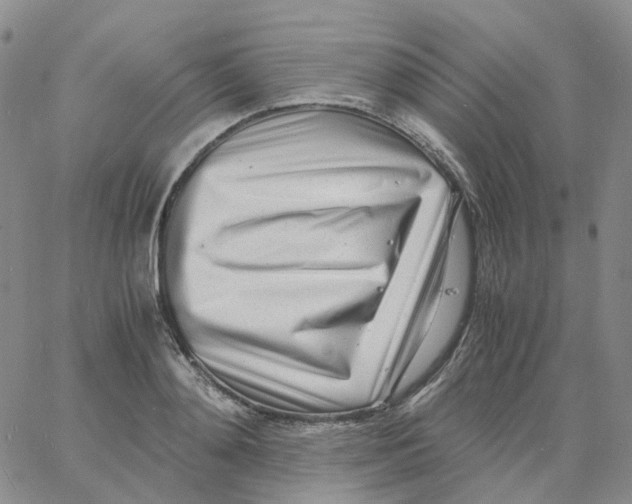 X0000060780892200512082056
