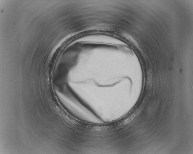 X0000060780923200512082055