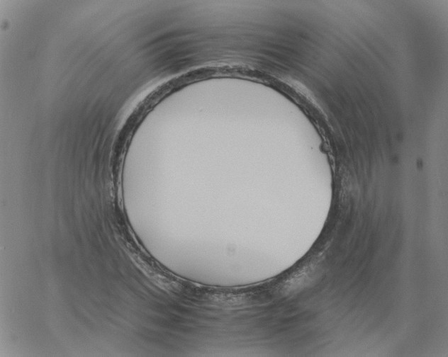 X0000060780927200512082055