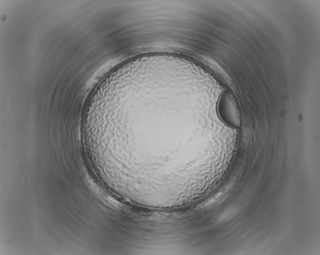 X0000060780938200512082055