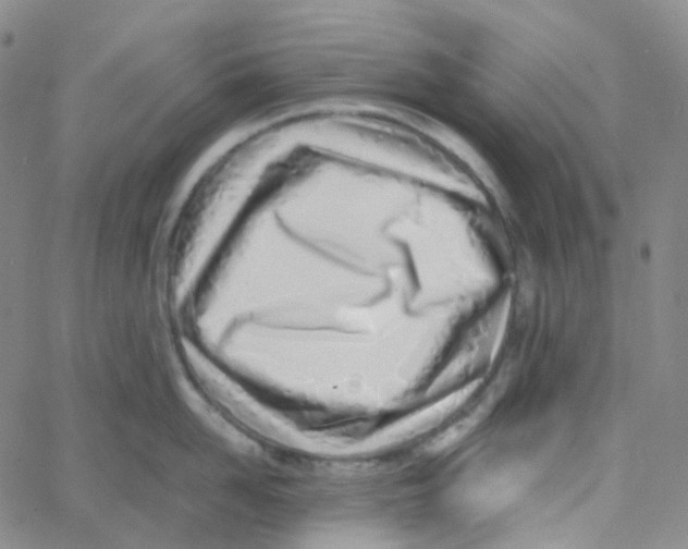 X0000060780958200512082055