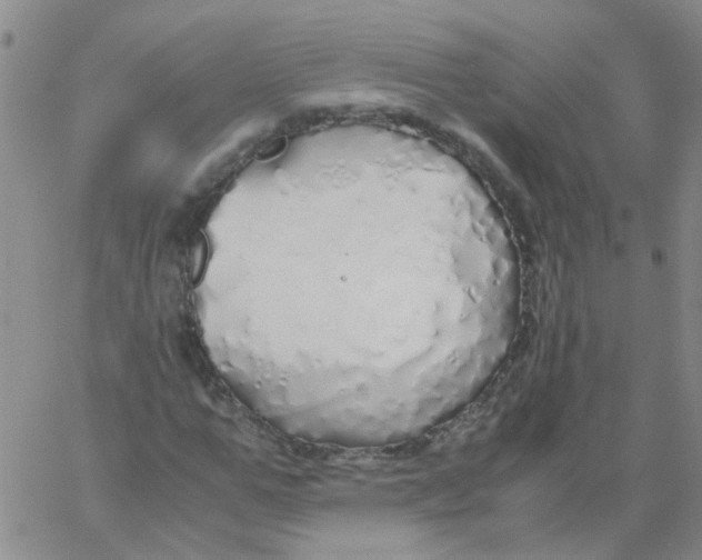 X0000060780967200512082054