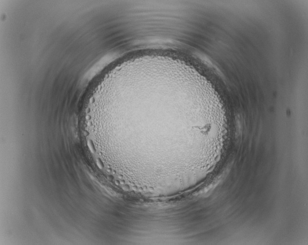 X0000060780970200512082054