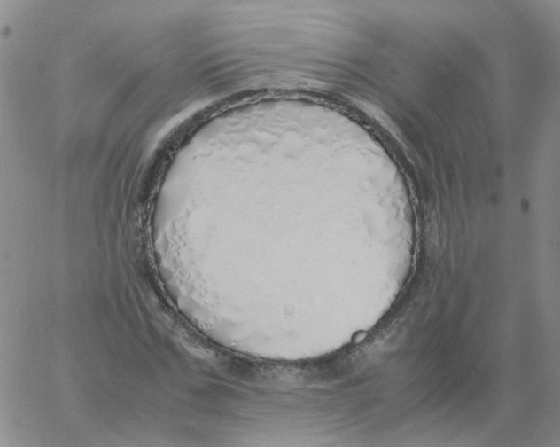 X0000060780971200512082054