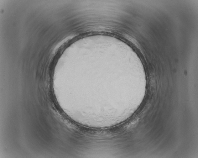 X0000060780979200512082054