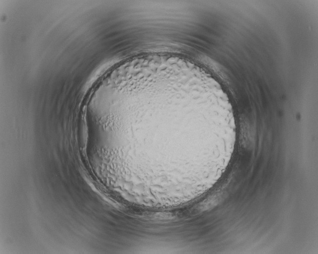 X0000060780986200512082054