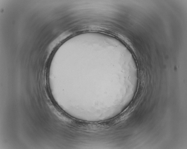 X0000060780987200512082054
