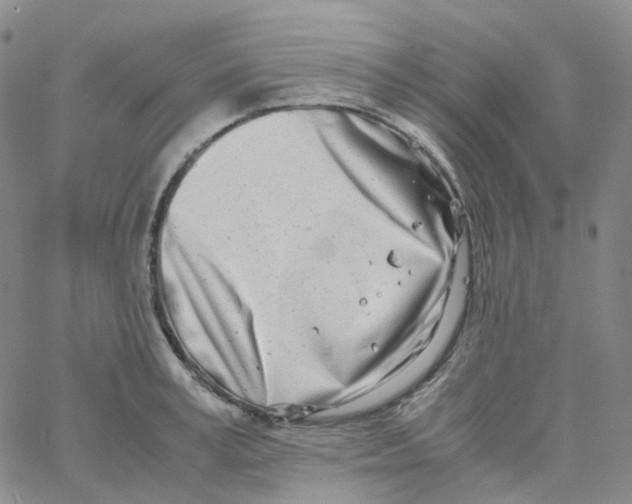 X0000060780995200512082054