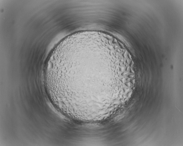 X0000060780998200512082054