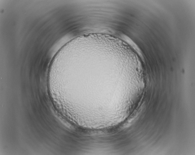 X0000060781002200512082054