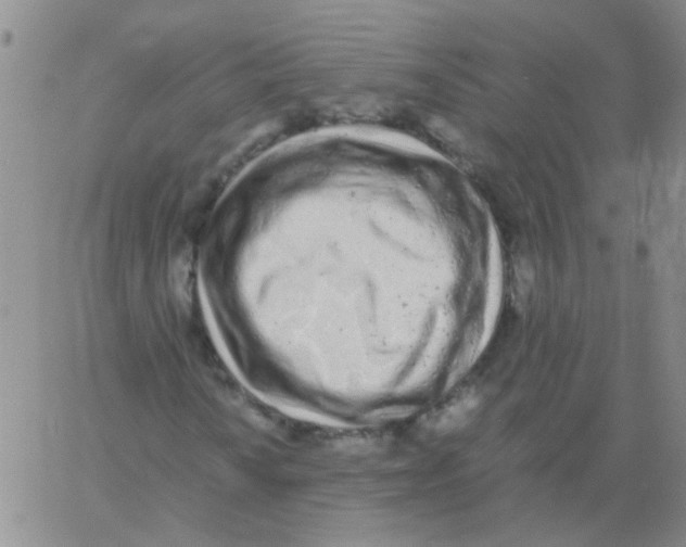 X0000060781010200512082053