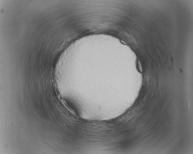 X0000060781012200512082053