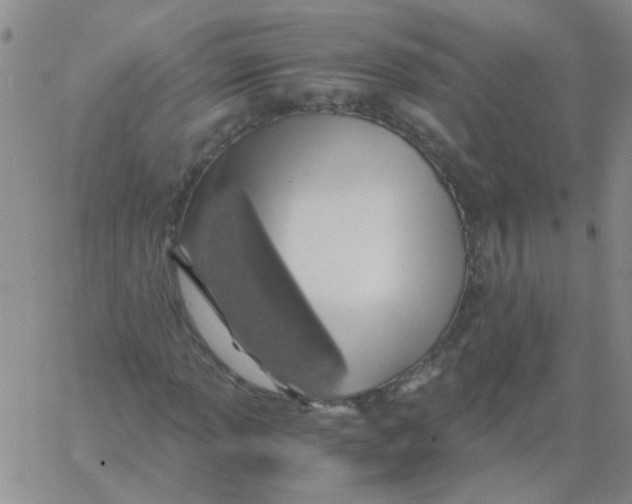 X0000060781013200512082053