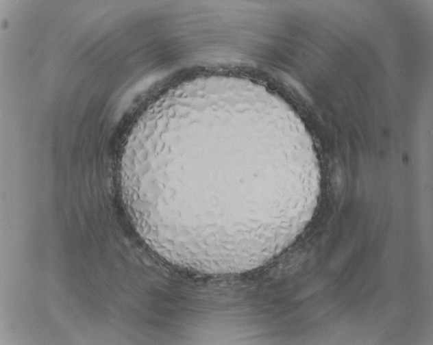 X0000060781016200512082053
