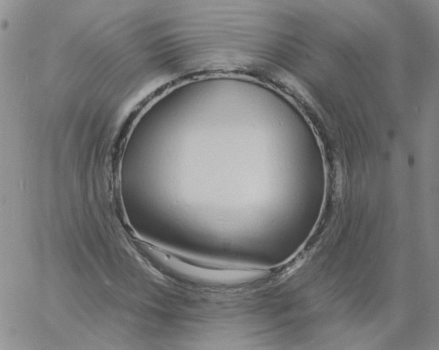 X0000060781018200512082053