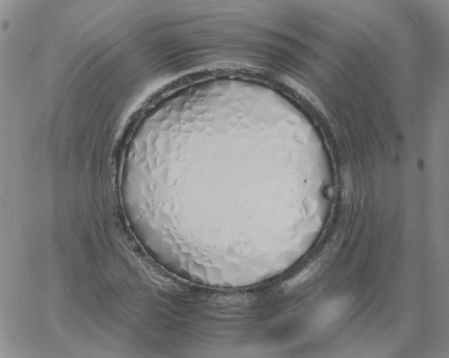 X0000060781021200512082053