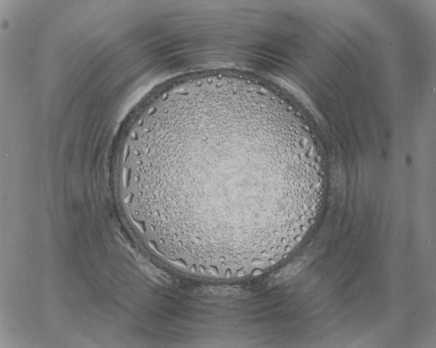 X0000060781023200512082053