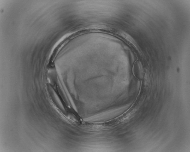 X0000060781024200512082053