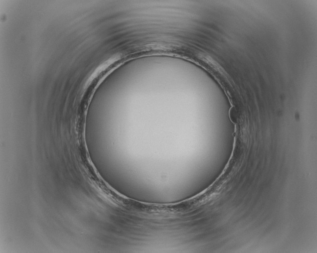 X0000060781026200512082053
