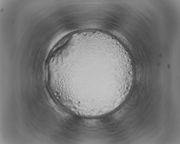 X0000060781031200512082053