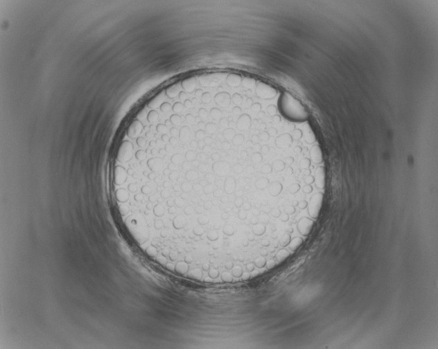 X0000060781032200512082053