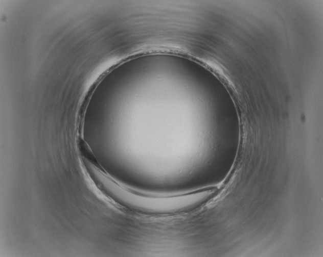 X0000060781038200512082053
