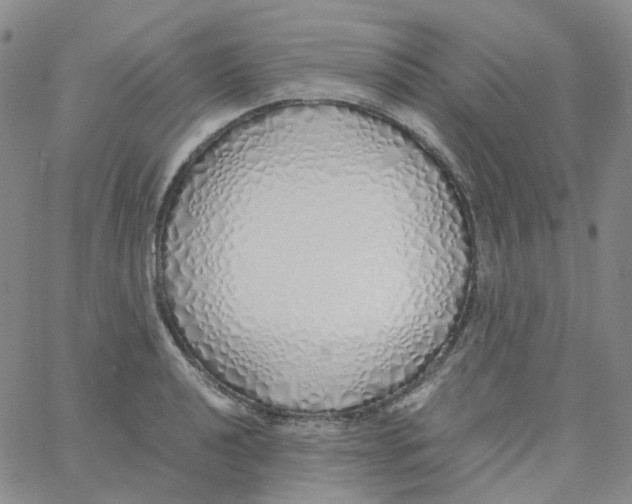 X0000060781040200512082053