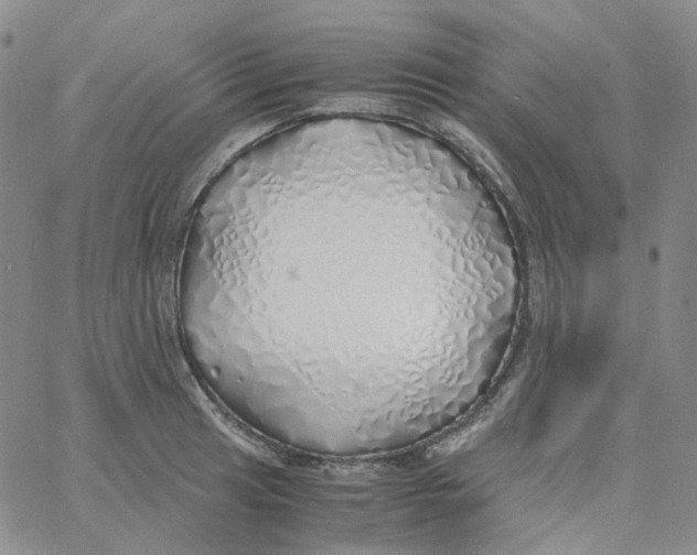X0000060781041200512082054