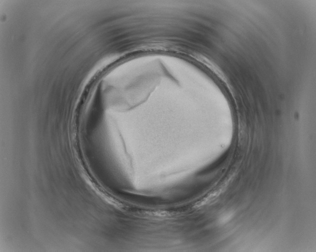 X0000060781045200512082054