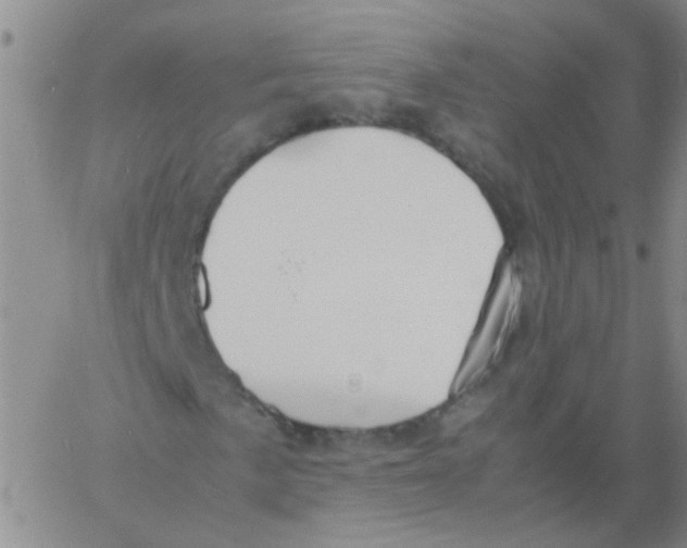 X0000060781057200512082053