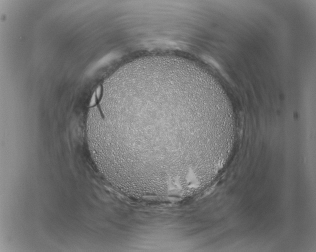 X0000060781063200512082053