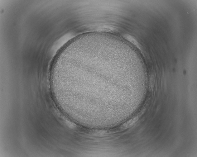 X0000060781071200512082053