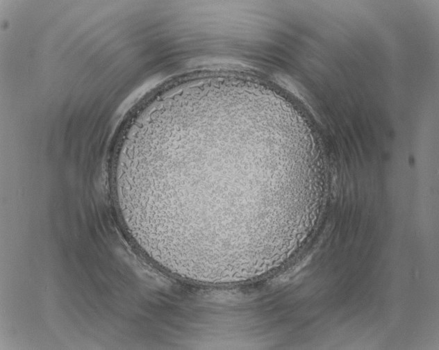 X0000060781074200512082053