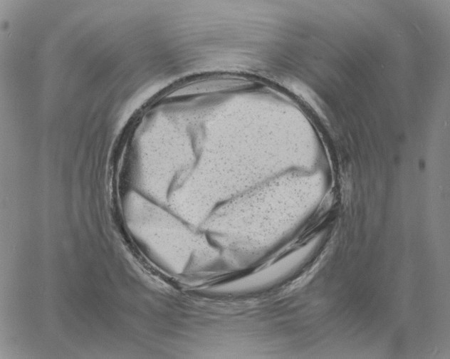 X0000060781077200512082053