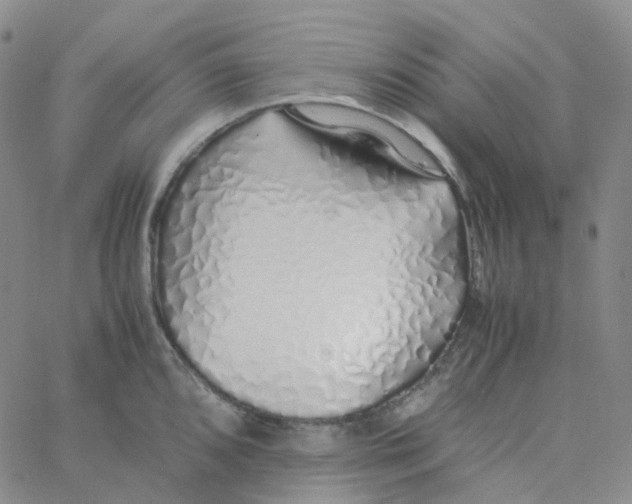 X0000060781096200512082052