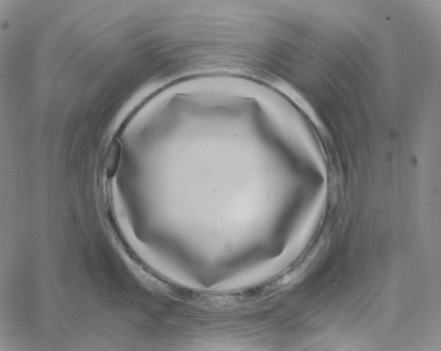 X0000060781101200512082052