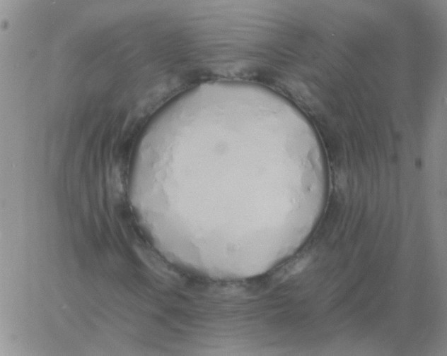 X0000060781106200512082051